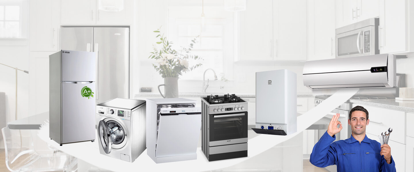 Iğdır Dominox Servisi